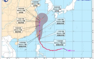 新澳门内部资料精准大全宝中宝-综合解答解释落实_铂金版2024.11.26