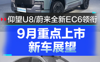 澳门精准会员资料-综合解答解释落实_青铜版2024.11.03