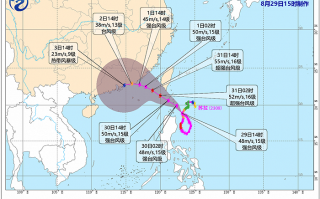 新澳内部资料精准一码澳门头条-综合解答解释落实_白银版2024.11.17