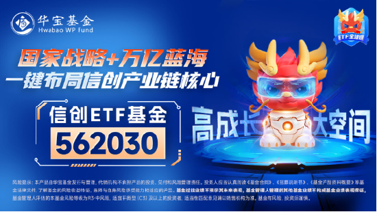 超百亿主力资金狂涌！信创ETF基金（562030）劲涨1.25%，天融信、浪潮软件涨停，机构：重点关注三方面催化-第5张图片-我爱旅游网